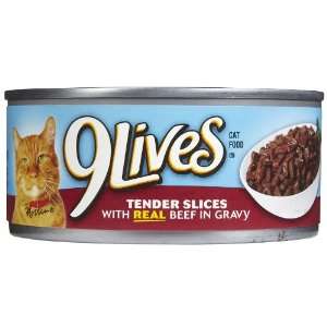  9Lives Tender Slices   Beef in Gravy   24 x 5.5 oz Pet 
