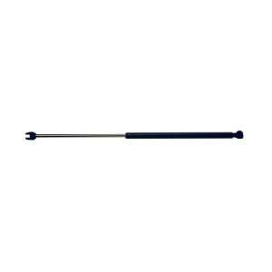  StrongArm 6303 Jaguar X Type, Trunk Lift Support, Pack of 