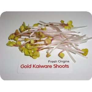 Gold Kaiware Shoots   4 x 4 oz Grocery & Gourmet Food