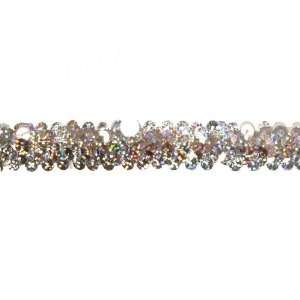  Stretch 7/8 Holographic Sequin Trim Silver By The Yard 