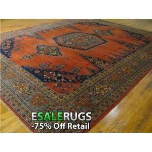 10 7 x 13 4 Viss Hand Knotted Persian rug 