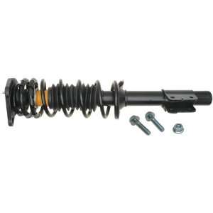 Raybestos 717 1686 Professional Grade Suspension Strut and Coil Spring 