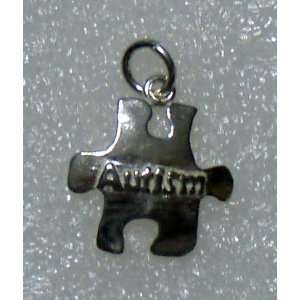   Silver Autism Awareness Sterling Silver Puzzle Piece Charm Autism