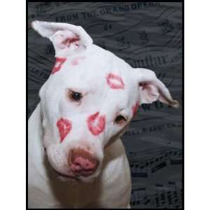  White Puppy Dog Love, Sealed with Lipstick Kisses Postage 