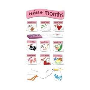   Months Pregnancy E5050017; 3 Items/Order Arts, Crafts & Sewing