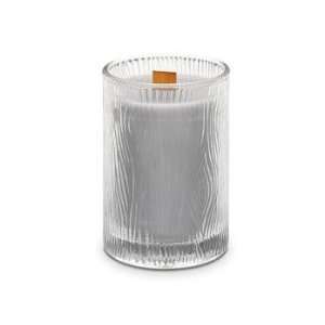  Natures Light by PartyLite® Silver Birch & FigTM 