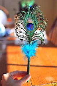 Peacock feather pen – gorgeous wedding guest book pen  