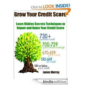 Grow Your Credit Score Learn Hidden Secret Techniques to Repair and 