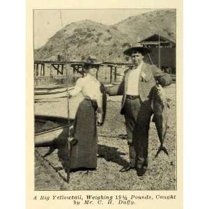  1907 Print Yellowtail C Duffy Fishing Fashion Amberjack 