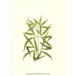  Woodland Ferns I by E.J. Lowe 10x13