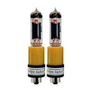   YJ20D Yellow Jacket for 6V6 Amps, Duet, w/Tubes Musical Instruments