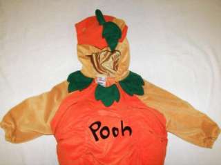 Disney Winnie Pooh Pumpkin Halloween Costume sz 18 24 m  