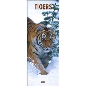  Tigers 2008 Slimline Wall Calendar