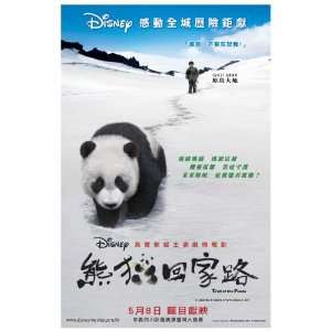  Touch of the Panda Movie Poster (11 x 17 Inches   28cm x 