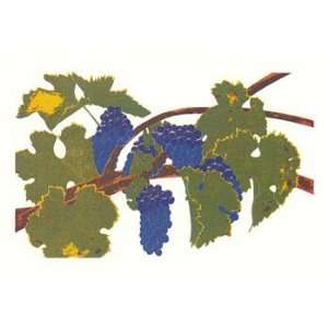  Cabernet Sauvignon Grapes, Grapes Note Card by Henry Evans 