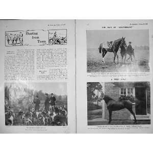   1905 Fox Hunting Hounds Surrey Union Horses Gouvernant