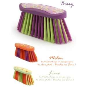 Lucky Star Flick Brush   Small Berry