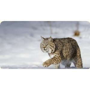  Bobcat Mouse Pad