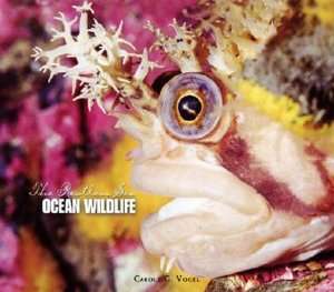   Ocean Wildlife by Carole Garbuny Vogel, Scholastic 