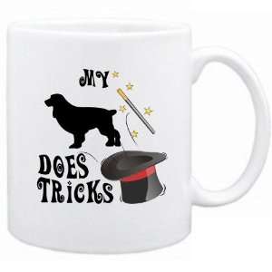  New  My Boykin Spaniel Does Tricks   Mug Dog