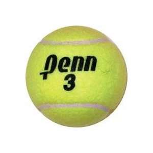 Penn Championship Extra Duty Tennis Balls   Can  Sports 