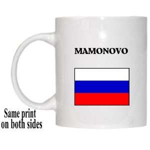  Russia   MAMONOVO Mug 