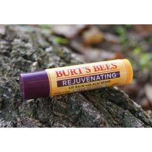   Bees Lip Balm, Rejuvenating, with Acai Berry
