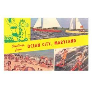  Greetings from Ocean City, Maryland Premium Giclee Poster 