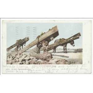   Rocky Mountain Freight Train, Burro 1900 1902