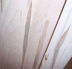 Lot 12 Striped Ambrosia Wormy Maple Craft Wood Boards  