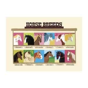 Horse Breeds Giclee Poster Print by Janell Genovese, 29x22