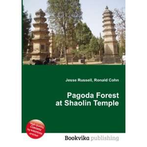  Pagoda Forest at Shaolin Temple Ronald Cohn Jesse Russell 