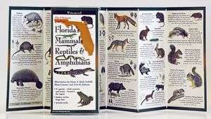   Mammals of Florida Field Guide by Stan Tekiela 