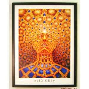 Oversoul By Alex Grey Framed Poster Edition 19x25 