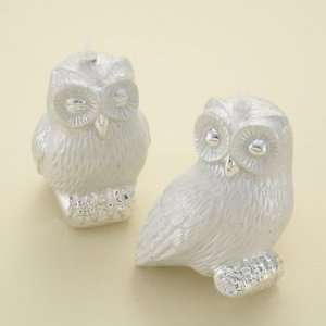  Pack of 4 Winter Solace White and Silver Glitter Owl 