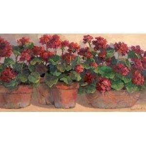  Geraniums Poster Print