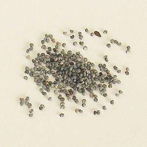 Poppy Seeds (3 One Pound Bags)  Grocery & Gourmet Food