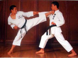 Karate 013 Book DVD set Shotokan Training Manual  