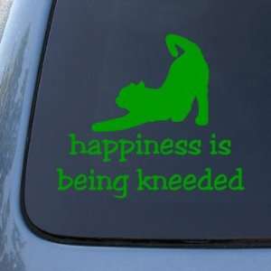 HAPPINESS IS BEING KNEEDED   Cat   Decal Sticker #1520  Vinyl Color 