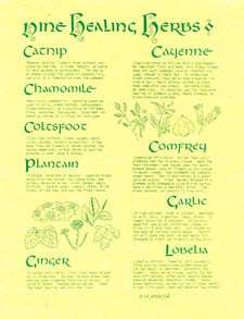 HEALING HERBS 8.5 x 11 Parchment Poster wicca witch  
