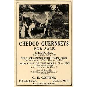  1924 Ad Chedco Guernseys Cotting Cows Butter Milk Farm 
