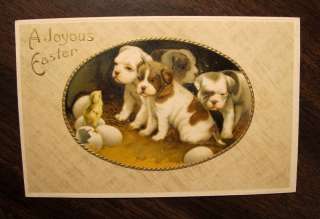 DOGS PUPPIES & CHICK A Joyous Easter Postcard 1910  