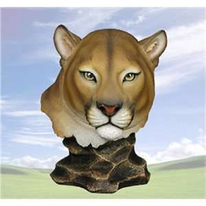  Wary Mountain Lion Bust 