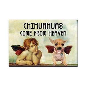  Chihuahuas Come From Heaven Cute Fridge Magnet Everything 
