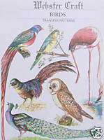 Webster Craft Assorted Exotic Birds Transfer Pack NEW  