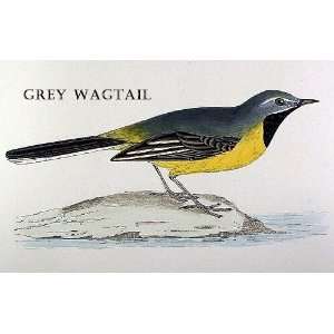  Birds Grey Wagtail Sheet of 21 Personalised Glossy 