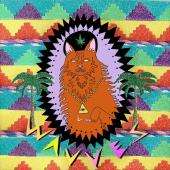 Wavves   King of the Beach NEW CD ALBUM  