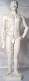 20 human Chinese acupuncture model New  