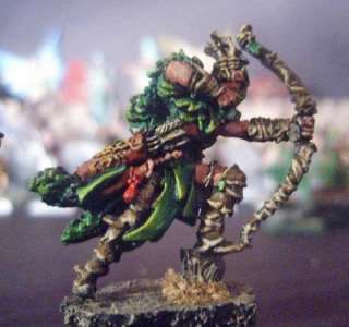 Warhammer Fantasy Wood Elf Waywatcher Lord Archers Pro Painted 