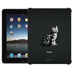  American Shorthair on iPad 1st Generation XGear Blackout 